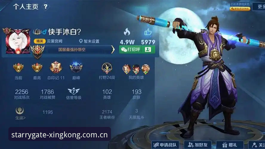星空平台入口使用教程：别被“登录”骗了，通道选择才是关键