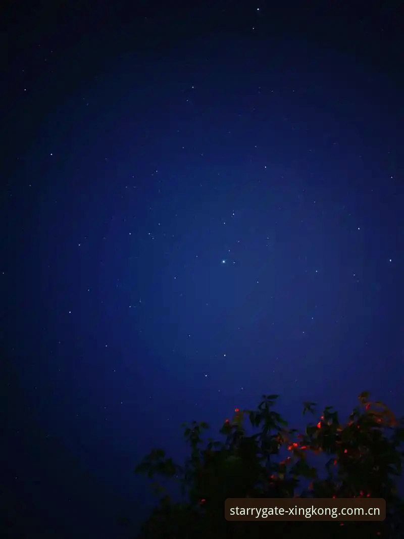 揭秘星空入口2024特版：苹果用户等了半年的「直连」终于回来了