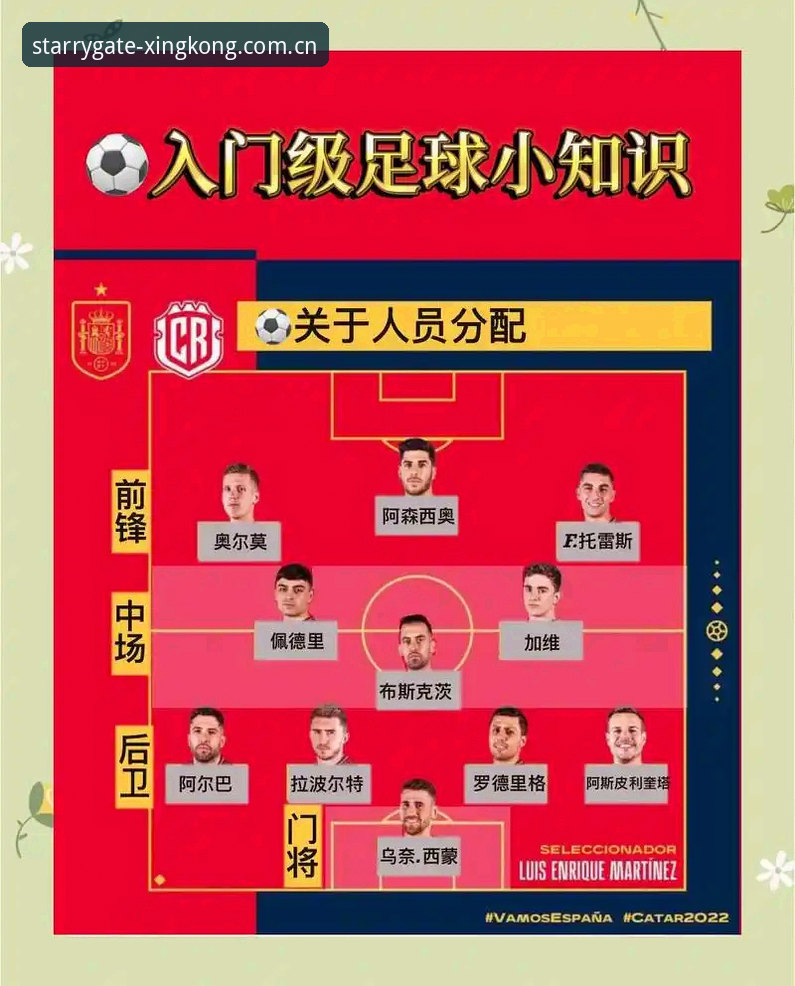 世界杯新规实战指南：从球迷到玩家的完整避坑手册